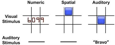 Gaussian Process Regression for Predictive But Interpretable Machine Learning Models: An Example of Predicting Mental Workload across Tasks